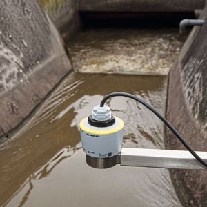 Prozessbedingt kommt es in einigen Anwendungen zu Überflutungen der Sensoren ...(Bild:  Vega)