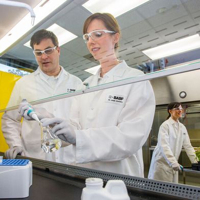 BASF Agricultural Solutions erweitert mit der Übernahme von Agbitech sein Portfolio für biologische Schädlingskontrolle. (Symbolbild) (Bild: BASF)