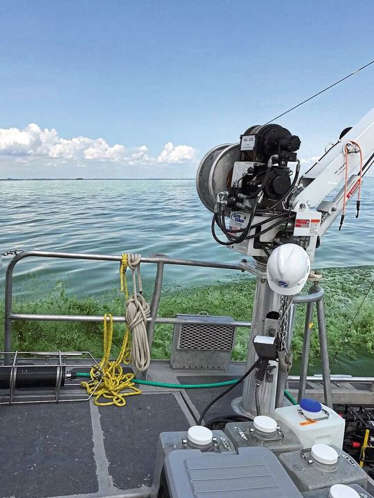 Probennahme am Eriesee (Bild:  McKenzie Powers)