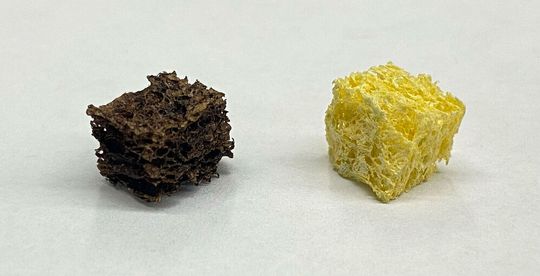 Sponge coated with nanoparticles (left) next to an uncoated cellulose sponge. Sponge coated with nanoparticles (left) next to an uncoated cellulose sponge.