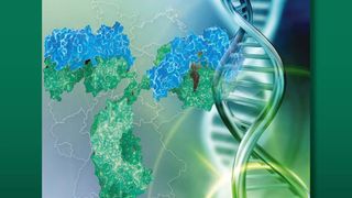 Der VFA hat den Biotech-Report 2021 vorgestellt. (VFA)
