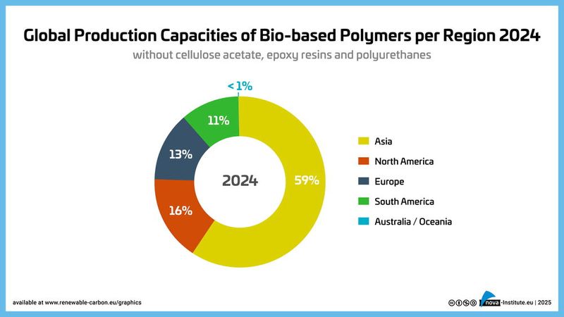 Weltweite Produktionskapazitäten biobasierter Polymere nach Regionen 2024  (Bild: Nova-Institut)