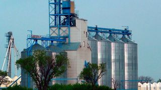 Boostig the agricultural sector: A new fertilizer project attracts a billion Euros investment to Tanzania. (Picture: Brigitte Werner (CC0))