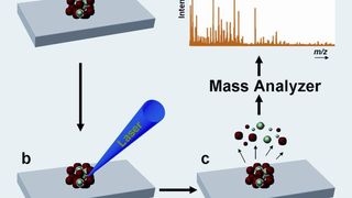 1	 Das Funktionsprinzip der MALDI-MS-Methode. (Bilder: Max-Planck-Institut für chemische Ökologie) (Archiv: Vogel Business Media)