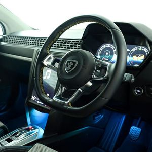 Hinterm Lenkrad blickt der Fahrer auf ein digitales Kombiinstrument.(Bild:  Günsel)