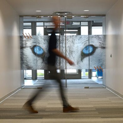 arctic-wolf-office-wolfeyes-16-9-1200x675v1 (Bild: Arctic Wolf)