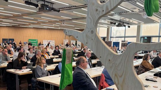 Blick ins Auditorium der HPE-Herbsttagung 2025 mit Sockenbaum im Vordergrund.(Bild:  HPE)