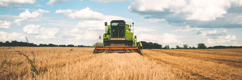 Die Landwirtschaft entwickelt sich rasant zu einer digitalisierten Branche. Schon heute nutzt mehr als jeder Zweite in der Branche digitale Lösungen.(Bild:   / CC0)