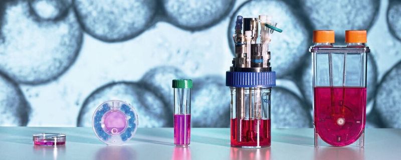 Diverse Bioreaktor-Systeme zur Kultivierung von induzierten pluripotenten Stammzellen (iPSCs) auf Mikrocarriern(Bild:  Fraunhofer IBMT, Bernd Müller)