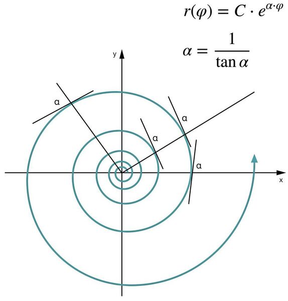 Die Natur zum Vorbild: Neben Evolvente und Zykloide ist die logarithmische Spirale eine neue Funktion im Getriebebau. (Wittenstein)