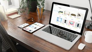 shutterstock-1261988536 (Quelle: McLittle Stock/shutterstock)