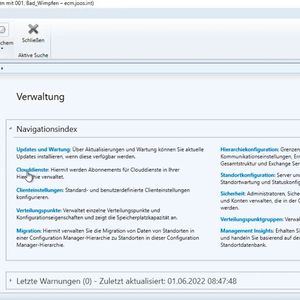 Im Menü „Übersicht“ sind verschiedene Verwaltungsaufgaben zu finden. Bei „Clouddienste“ stehen die Aufgaben zur Verfügung, mit denen sich ECM an EM anbinden lässt.(Bild:  Microsoft / Joos)