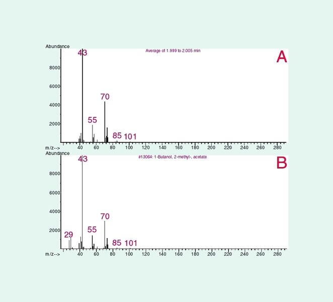 Abb. 2b Total-Ionen-Chromatogramm (A) und eine Detailbetrachtung (B) zwischen der ersten und dritten Minute der Aufzeichnung der HS-SPME-GC/MSD-Analyse von zehn Gramm Apfelkompott (Peakzuordnung siehe Tabelle 1). (Archiv: Vogel Business Media)