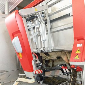 Roboterarm des Melkroboters Astronaut A5 von Lely: mit elektrischen Achsen von Festo und entsprechender Software. 