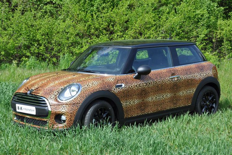 Ein Leoparden-Mini in freier Wildbahn wurde in Paderborn gesichtet. (Foto: Wellergruppe)