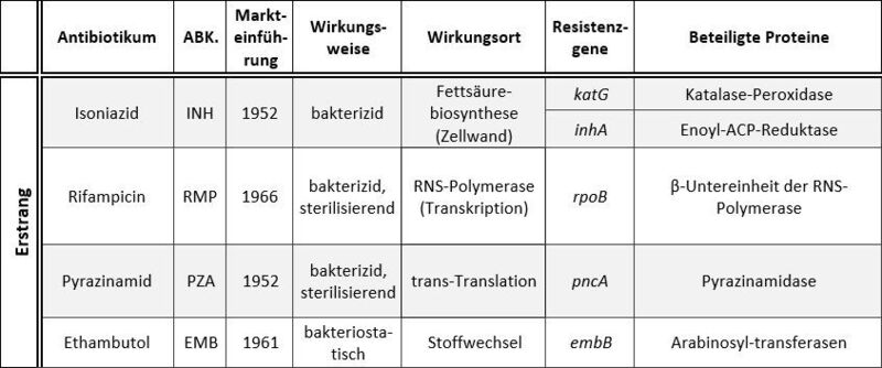 Tabelle 1: Gängige Antibiotika zur Behandlung der Tuberkulose, ihre Wirkweisen und wichtigsten Resistenzmechanismen (Forschungszentrum Borstel)