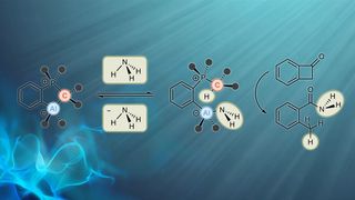 Die reversible Aktivierung und katalytische Übertragung von Ammoniak durch eine Hauptgruppenelementverbindung. (Bild: Frank Breher, KIT)