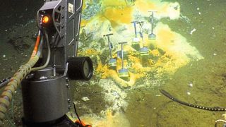 Tauchgang im Golf von Mexiko: Weißlich-orange gefärbte mikrobielle Matten aus schwefeloxidierenden Bakterien zeigen heiße Quellen an, an denen besonders viel Methan und andere energiereiche Verbindungen ausströmen.  (Bild: Woods Hole Oceanographic Institution)