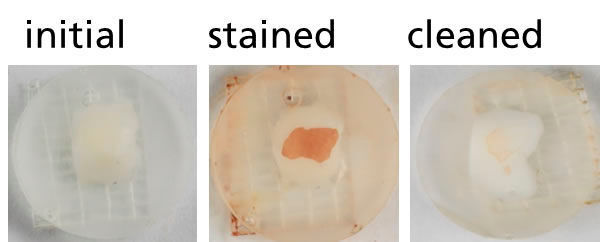 Photographic images of tooth enamel samples in their initial state, after discoloration and after cleaning. The samples were cleaned with a toothpaste containing cellulose. (Fraunhofer IMWS)