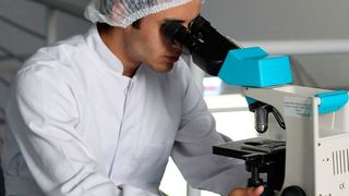 Wie hoch sind die Gehälter in der Medizintechnik- und Pharmabranche? Eine aktuelle Gehaltsübersicht verrät mehr. (gemeinfrei)