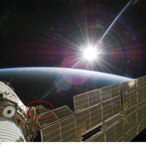 Die Internationale Raumstation (ISS): Zwischen dem Swesda-Modul und der Solarpanele ist die Expose-R Plattform zu erkennen (rot umrandet). Dort werden die Moose und die anderen Organismen integriert und bis zu 18 Monaten den Weltraumbedingungen ausgesetzt.