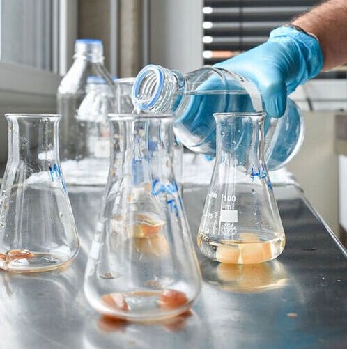 Bioweg aims to establish a production facility for biologic microplastic alternatives in India in the near future. 