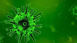 An analysis of viral genetic material points to existence of a previously unknown viral family in the deep ocean. (Source: free licensed)