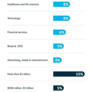 Die meisten Leader kommen aus dem Technik- und Gesundheitssektor.(Bild:  Snowflake)