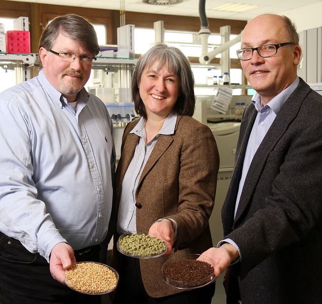 The research team around Professor Dr. Roland Ulber (left), Professor Dr. Elke Richling and Professor Dr. Werner Thiel is investigating how brewing residues can be used sustainably. (TUK/Thomas Koziel)