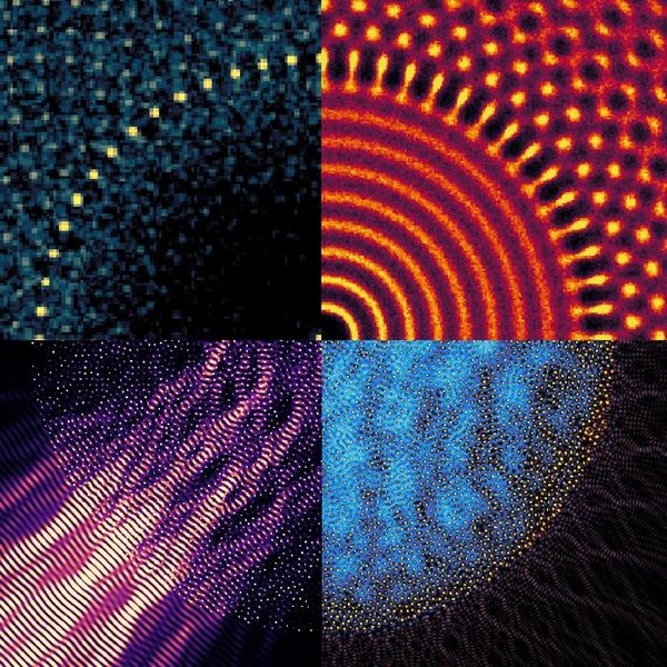 Völlige Blockade von Licht In den letzten Jahren versuchen Forscher Computer zu entwickeln, die mit Licht statt Strom rechnen. Solche Photonen-Computer könnten viel schneller und energiesparender sein. Doch ein großes Hindernis ist das sichere Umleiten winziger Lichtsignale auf dem Chip: Dafür braucht man ein Material, das störendes Licht aus allen Richtungen blockt-   Ein Team der New York University meldet nun einen Durchbruch: „Gyromorphe“. Sie verbinden scheinbar gegensätzliche Eigenschaften von Flüssigkeiten und Kristallen und blocken Licht besser als bisherige Strukturen. Frühere Favoriten, sogenannte Quasikristalle, hatten immer einen Haken: Entweder blockten sie nur in wenigen Richtungen vollständig oder dämpften Licht aus allen Richtungen nicht stark genug. Die Forschenden bauten deshalb Metamaterialien und nutzten einen Algorithmus, der „geordnete Unordnung“ entwarf. Gyromorphe wiederholen sich nicht wie Kristalle (flüssigkeitsartig), bilden aus der Ferne aber Muster. Beides zusammen schafft Bandlücken, die Lichtwellen aus jeder Richtung stoppen.    Auf dem Bild zu sehen ist eine Illustration der Eigenschaften eines Gyromorphs mit 60-facher Symmetrie. Obere Reihe: Struktur des Gyromorphs. Links: Strukturfaktor. Rechts: Paarverteilungsfunktion. Untere Reihe: Optische Eigenschaften. Links: Polarisierter Lichtstrahl, vollständig von einem Gyromorph reflektiert. Rechts: Verringerung der Zustandsdichte im Gyromorph  Hier gehts zur OriginalmeldungWissenschaftsbild des Tages vom 13.11.2025  (Bild: The Martiniani lab at NYU)
