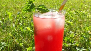 So könnte das proteinhaltige Erfrischungsgetränk für den Sommer aussehen: Mit dem Extrakt aus der Süßlupine sind viele verschiedene Getränke realisierbar. (© Foto Fraunhofer IVV)