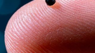 This is how small the latest ETH microrobot is.  (Source: Luca Donati / ETH Zurich)