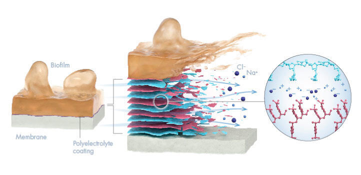Removable Coating for Membranes Makes Desalination More Environmentally ...