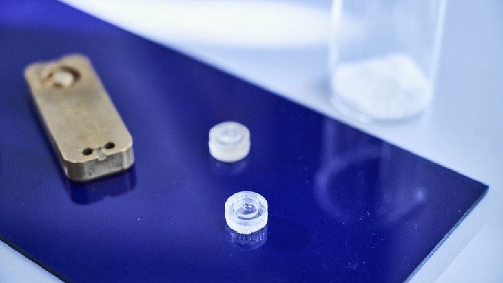  Mini-Petrischalen aus dem neuen Polystyrol – weitere Anwendungen denkbar. (Bild:  Hereon/Marcel Schwickerath)