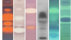 Ein neues Testverfahren weist Mutagene in komplexen Proben nach. Im Bild zu sehen sind (Bio-)Autogramme mit acht verschiedenen Endpunkten zum Nachweis gefährlicher Verbindungen in Parfüms. (Bild: Gertrud E. Morlock, https://doi.org/10.1016/j.chroma.2025.465946)