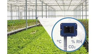 Der SPE-Sensor namens Hydrotrans S20 stammt aus dem Hause Jumo. Er misst Temperatur, Feuchtigkeit- und CO2-Werte direkt bei den Pflanzen. (Bild: Jumo)