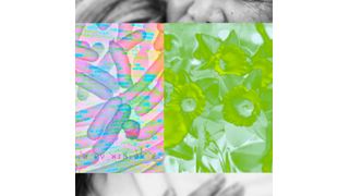 Researchers at The University of Texas at Austin have developed tools — including an artificial intelligence system and glowing biosensors — to harness microbes one day to do all the work instead. (Source: Martha Morales/The University of Texas at Austin)