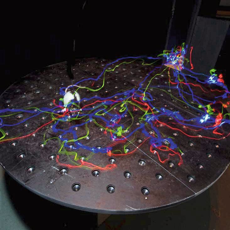 Langzeitbelichtete Aufnahme eines Erinnerungsexperiments in einem Cheeseboard-Labyrinth.