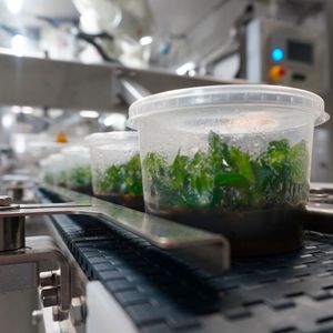 Von Orchideen über Kartoffeln bis Cannabis: Die Einsatzmöglichkeiten sind nahezu unbegrenzt. (Bild:  Kawasaki Robotics)