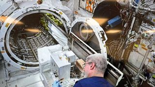 Astronaut auf der International Space Station ISS bei der Montage der Bauteile. (Bild: NASA)