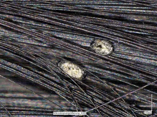 Mikroskopisch klein, aber teuer: Unerwünschte Lufteinschlüsse wie diese in einem Carbon-Bauteil sollen sich dank der mit dem Peter-Dornier-Stiftungspreis 2026 ausgezeichneten Prozesssteuerung künftig um bis zu 87,5 Prozent reduzieren lassen(Bild:  TU Ilmenau)