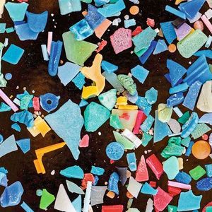 Mikroplastik findet man in allen möglichen Farben und Formen.