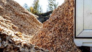 Mit der Gründung der Pezo Holzverwertung erweitert Zollikofer die Geschäftstätigkeit im Norden Deutschlands. (Bild: Koehler-Gruppe)