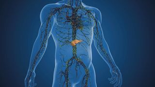 Abb. 1: Typ-2-Diabetes und Adipositas sind mit einer reduzierten Insulinwirkung verbunden. Das Hormon wird in den Inselzellen der Bauchspeicheldrüse produziert und reguliert den Blutzuckerspiegel. (Symbolbild) (Bild: © Silver Place - stock.adobe.com)