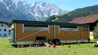 steiner-mobilerh--hnerstall-1 (NetModule AG)