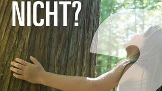 SAP_PLM_Foundation ()