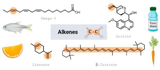 Alkene (Verbindungen mit einer Kohlenstoff–Kohlenstoff Doppelbindung) kommen zuhauf in der Natur vor. (Universität Wien/ Maulide Group)