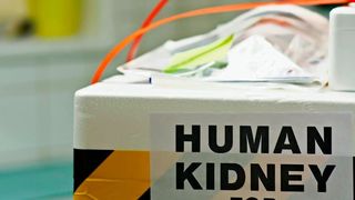 Tracking and Tracing: CryptoTec bietet Überwachung von Produkten während der Lieferkette in Echtzeit über GSM-Sensoren und Blockchain-Technik. So lassen sich bei Blutkonserven und Organen die Temperatur beim Transport überwachen. (CryptoTec)