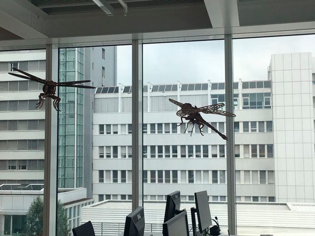 An diesen Arbeitsplätzen arbeitet man an Ideen wie man den weltweiten Proteinbedarf in Zukunft befriedigen kann. Bühler Group hat in diesem Zusammenhang mit dem holländischen Insekteverarbeitungsunternehmen Protix ein Joint Ventrues gegründet. (Susanne Reinshagen)