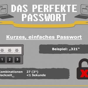 (Bild: The Safe Shop)